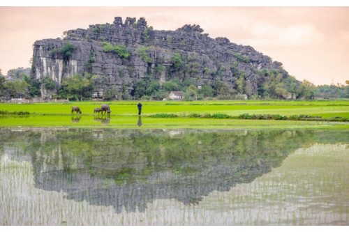 Hoa Lu And Tam Coc Tour